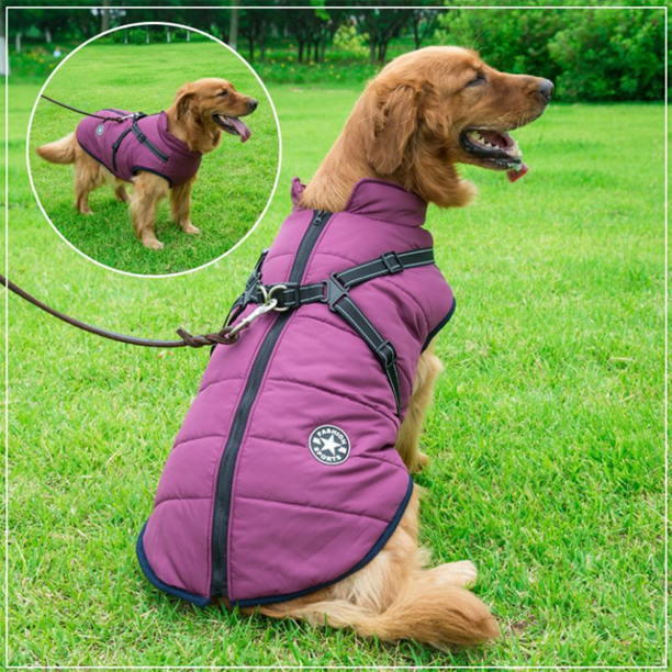 Pawbibi™ - Waterproof Winter Jacket with Built-in Harness