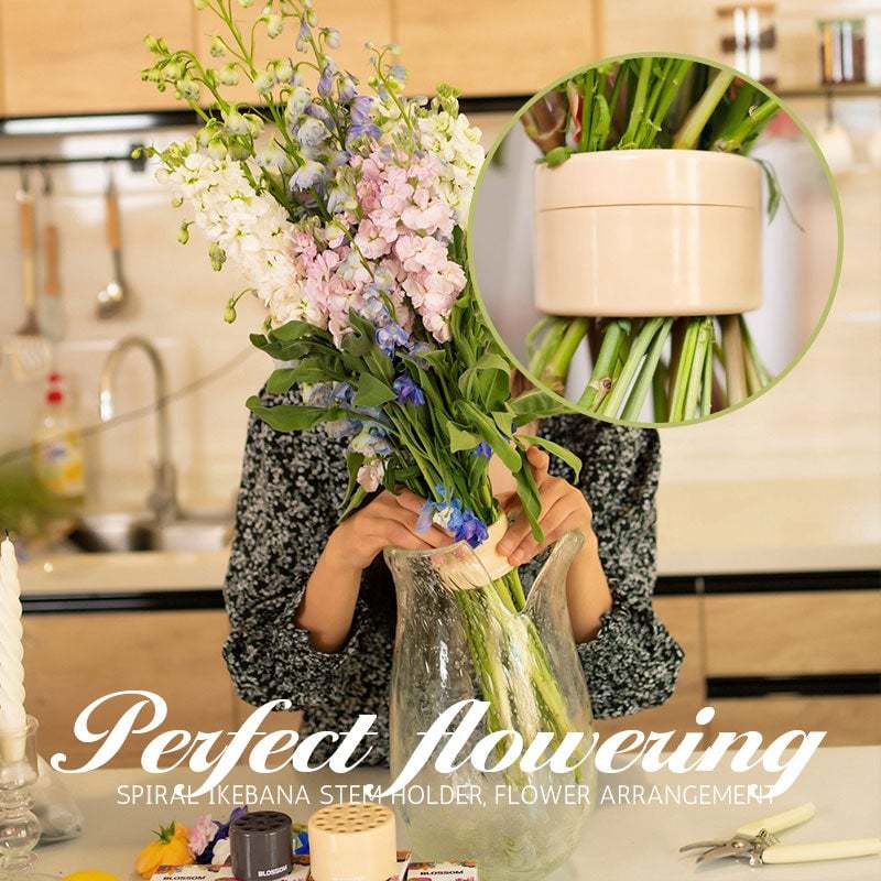 💕49% OFF🎁Spiral Ikebana Stem Holder💐