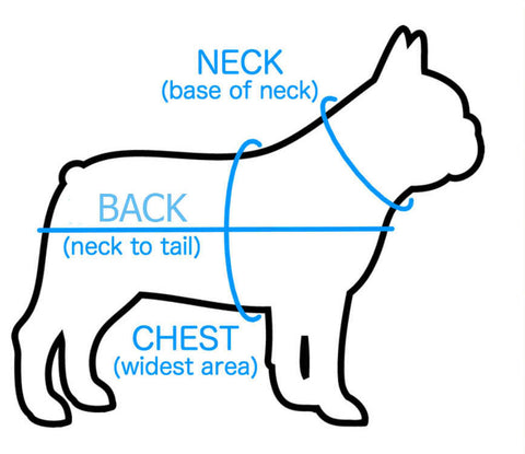 french bulldog backpack size chart