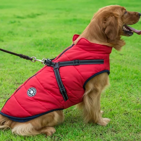 Waterproof Winter Jacket with Built-in Harness