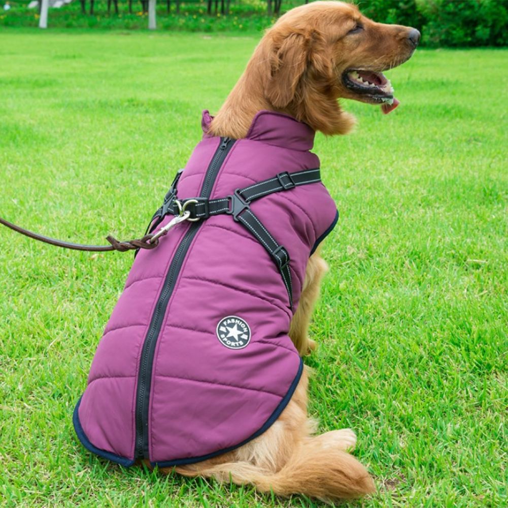 Pawbibi™ - Waterproof Winter Jacket with Built-in Harness