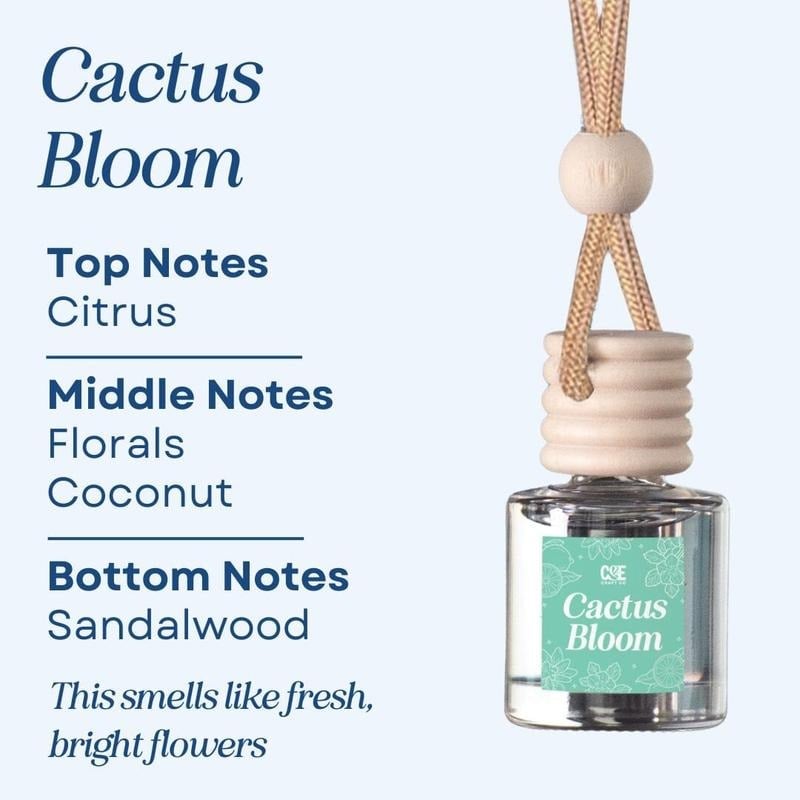 This Week's Special Price 🍃Scented Car Air Freshener