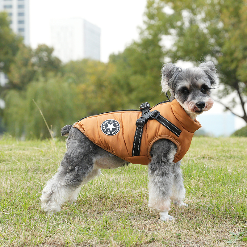 Pawbibi™ - Waterproof Winter Jacket with Built-in Harness