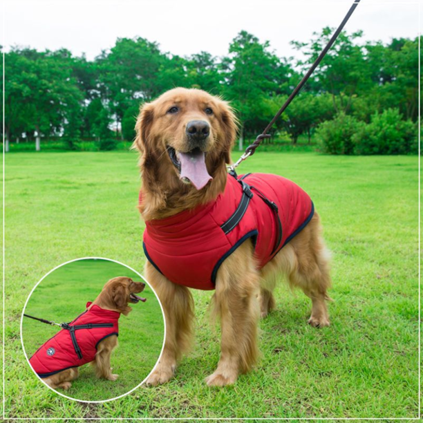 Pawbibi™ - Waterproof Winter Jacket with Built-in Harness