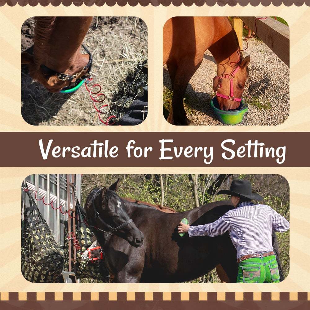 🔥LAST DAY 49% OFF- 🐎Adjustable Horse Bungee Lead