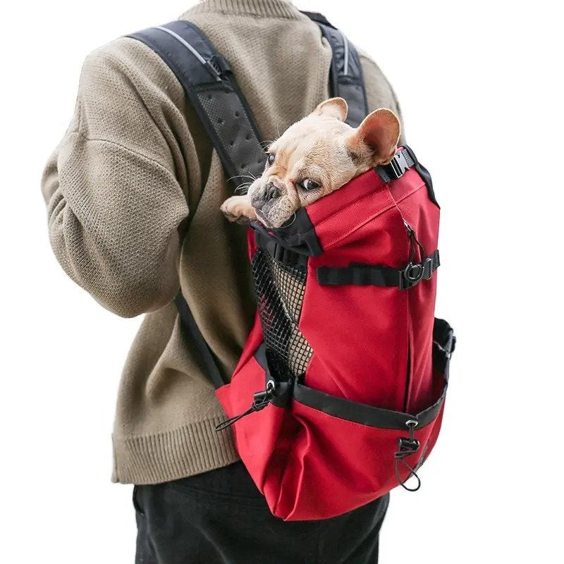 french bulldog carrier backpack