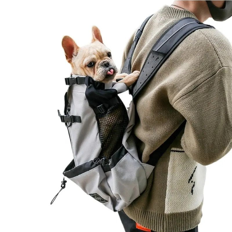 french bulldog hiking backpack