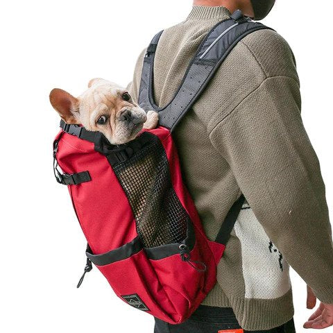 frenchie backpack