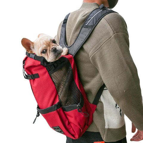 frenchie backpack