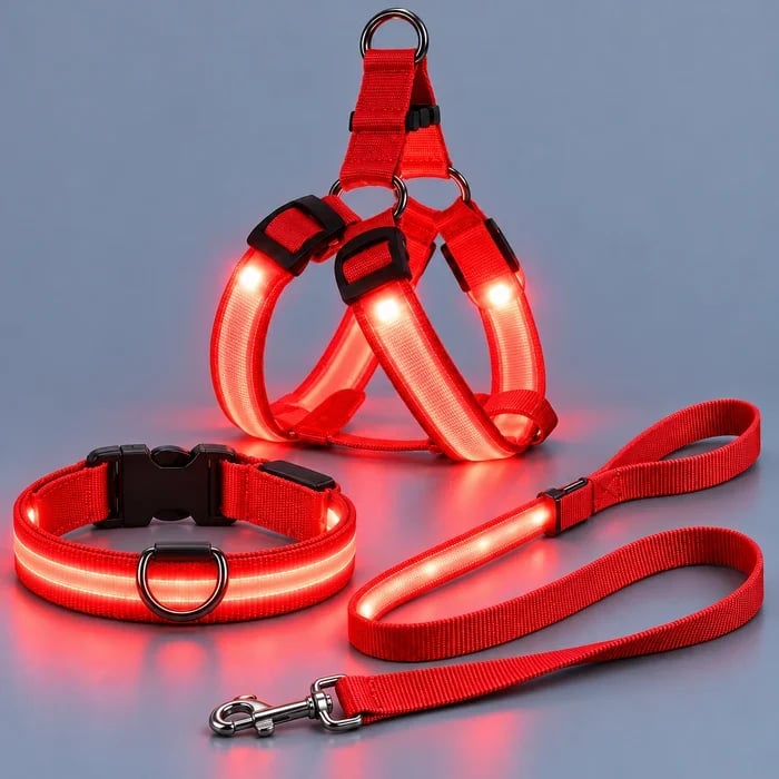 Red LED harness, collar, and leash set