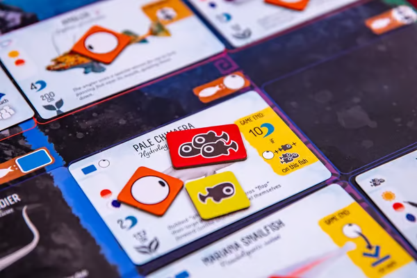 🔥LAST DAY SAVE 49% OFF🔥Finspan-Discover the beauty of fishes