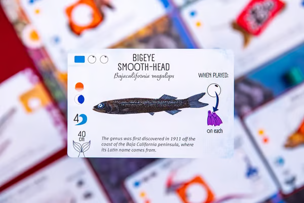 🔥LAST DAY SAVE 49% OFF🔥Finspan-Discover the beauty of fishes