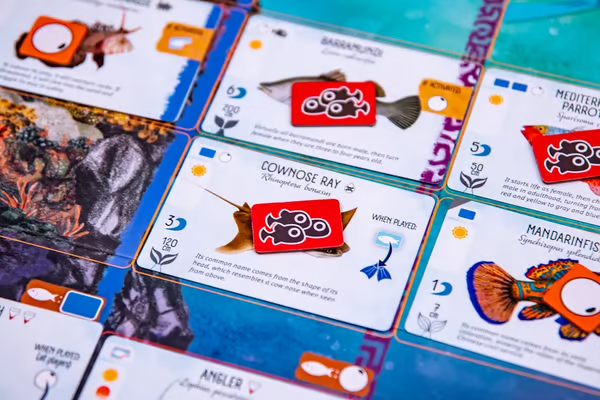 🔥LAST DAY SAVE 49% OFF🔥Finspan-Discover the beauty of fishes