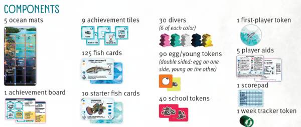 🔥LAST DAY SAVE 49% OFF🔥Finspan-Discover the beauty of fishes