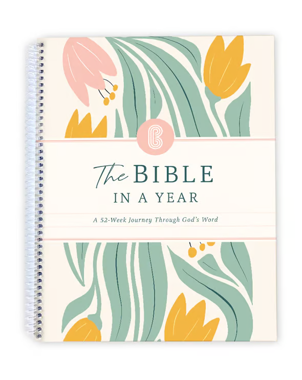 🔥LAST DAY 49% OFF - ✝️📚The Bible In A Year: A 52-Week Study(✨Hardcover Book)