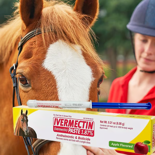 🔥Last Day 49% OFF🔥ivermectin Horse Paste 1.87% 6.08g Tubes