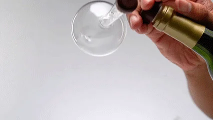 🔥Areadivino Wine Aerator & Decanter - Makes Your Wines Taste Better