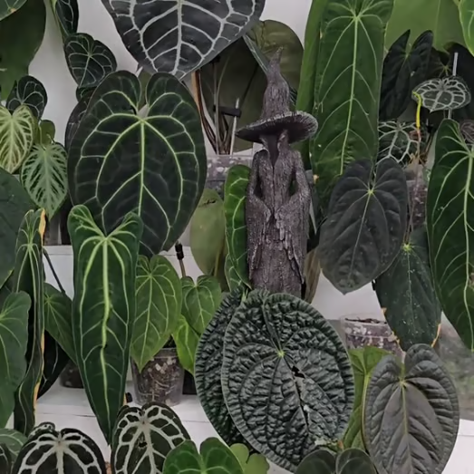 🔥LAST DAY 49% OFF - 🧙‍♀️💫Hand-Painted Enchanting Witch Statue: The Guardian of Your Home (✨Same as in the video)-Festivesl