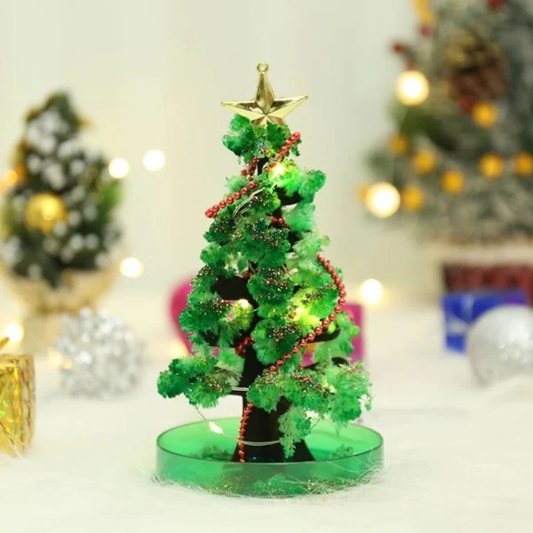 🎄🎅Magic Growing Christmas Tree-Festivesl