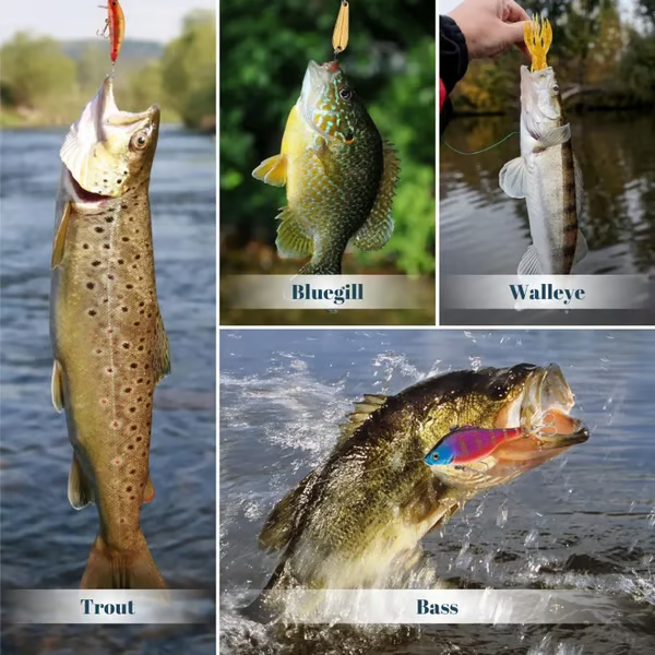 🔥Last Day 49% OFF -🎣2025 Xmas Holiday Fishing Advent Calendar
