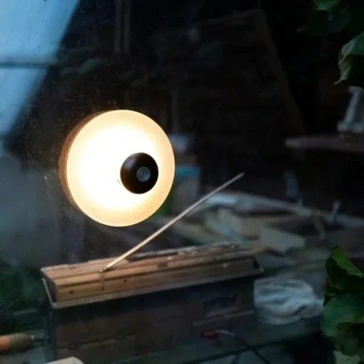 Induction Sucker Night Light-Festivesl