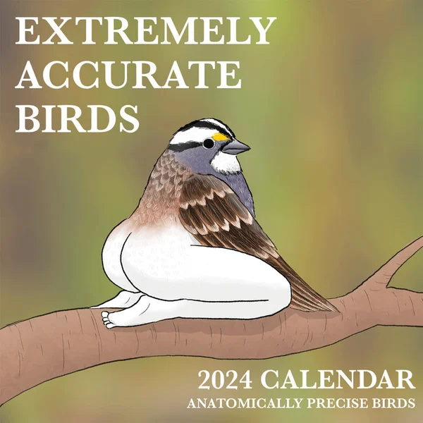 2024 CALENDAR OF EXTREMELY ACCURATE BIRDS-Festivesl