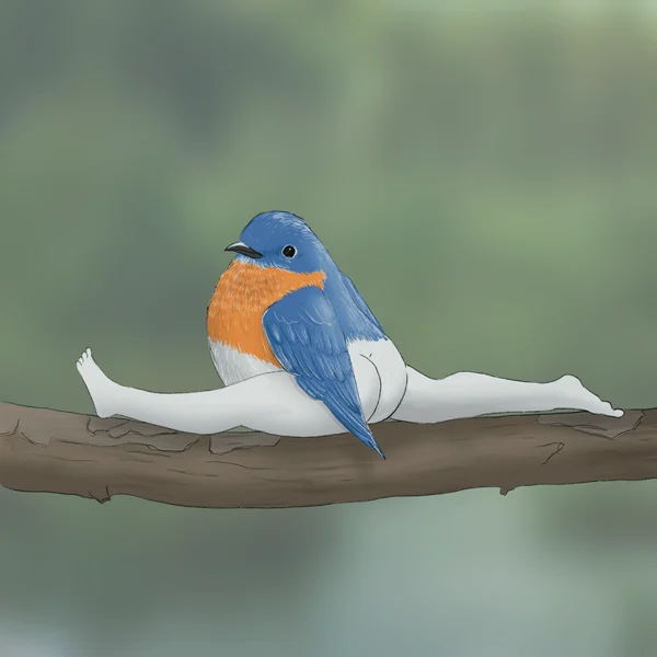 2024 CALENDAR OF EXTREMELY ACCURATE BIRDS-Festivesl