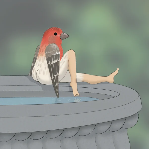 2024 CALENDAR OF EXTREMELY ACCURATE BIRDS-Festivesl