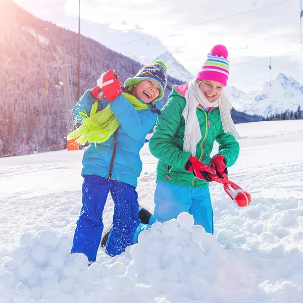 ☃️Winter Sale 49% OFF❄️The Original Snowball Kit (🏖️Also Suitable For Sand)-Festivesl