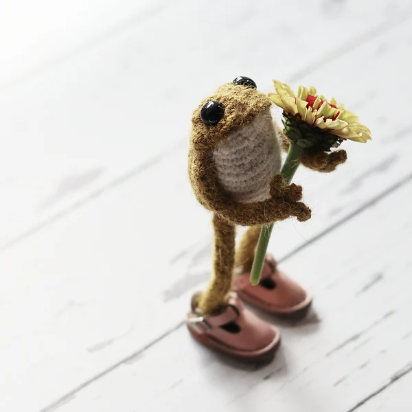 Last Day 49% OFF - Hand-Crochet Frog DIY Kit-Festivesl