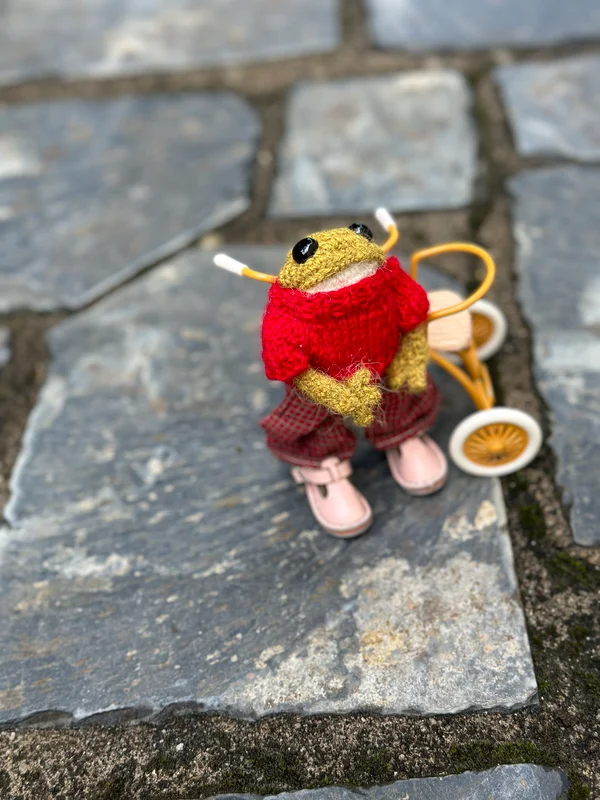 Last Day 49% OFF - Hand-Crochet Frog DIY Kit-Festivesl