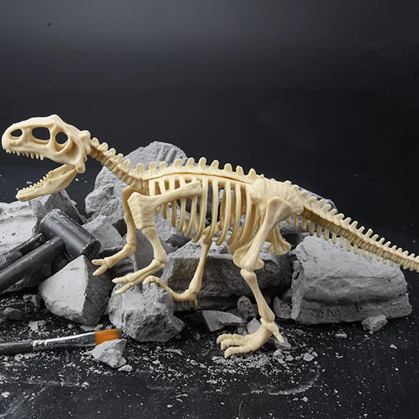 Great Educational Toy for Kids🎁New Arrival Dinosaur Fossil Digging Kit - Get Three Tools For Free🔥-Festivesl