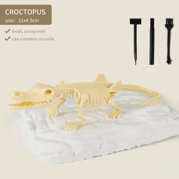 Great Educational Toy for Kids🎁New Arrival Dinosaur Fossil Digging Kit - Get Three Tools For Free🔥-Festivesl