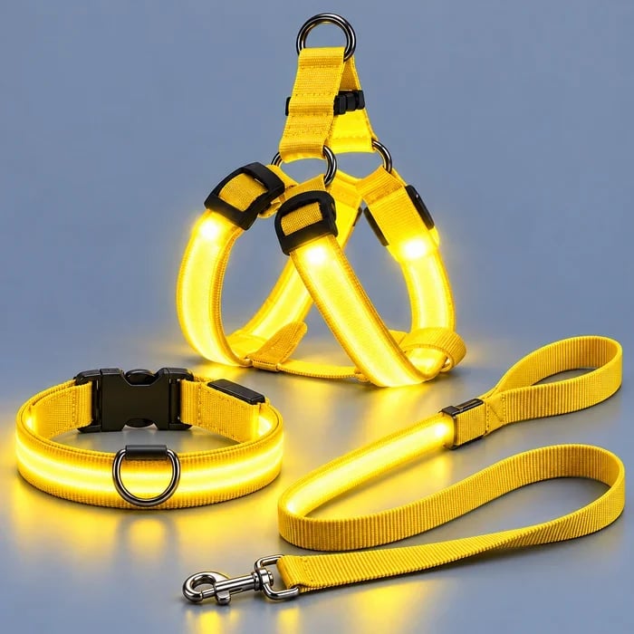 Yellow LED harness, collar, and leash set