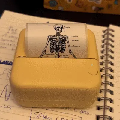 5 Reasons Why You Need The NoteBuddy™Mini Portable Printer-Festivesl