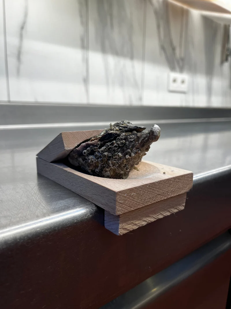 Does not hurt hands-Oyster shucking clamp-Festivesl