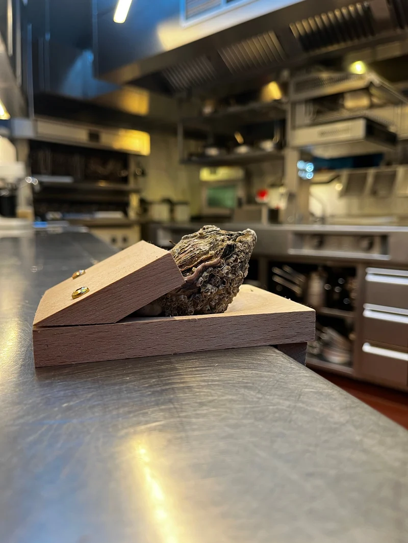 Does not hurt hands-Oyster shucking clamp-Festivesl