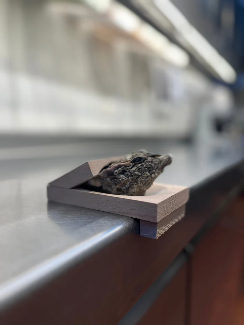 Does not hurt hands-Oyster shucking clamp-Festivesl