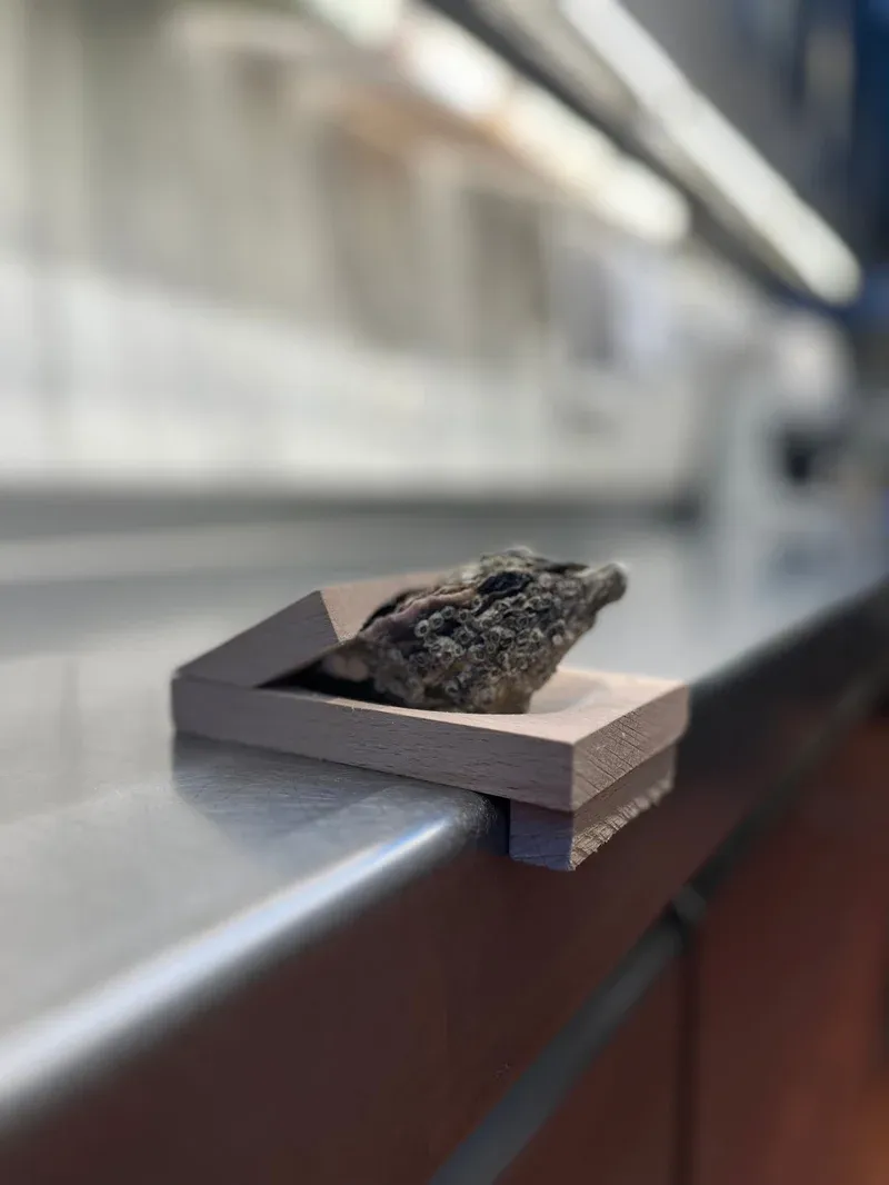 Does not hurt hands-Oyster shucking clamp-Festivesl