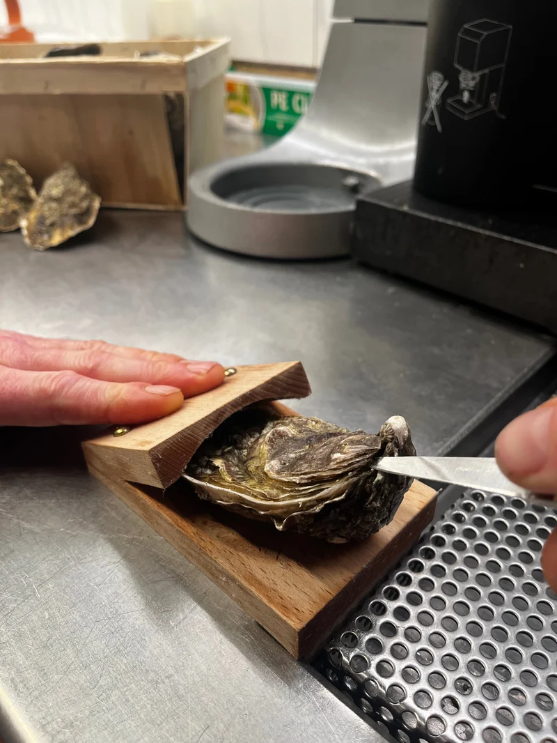 Does not hurt hands-Oyster shucking clamp-Festivesl