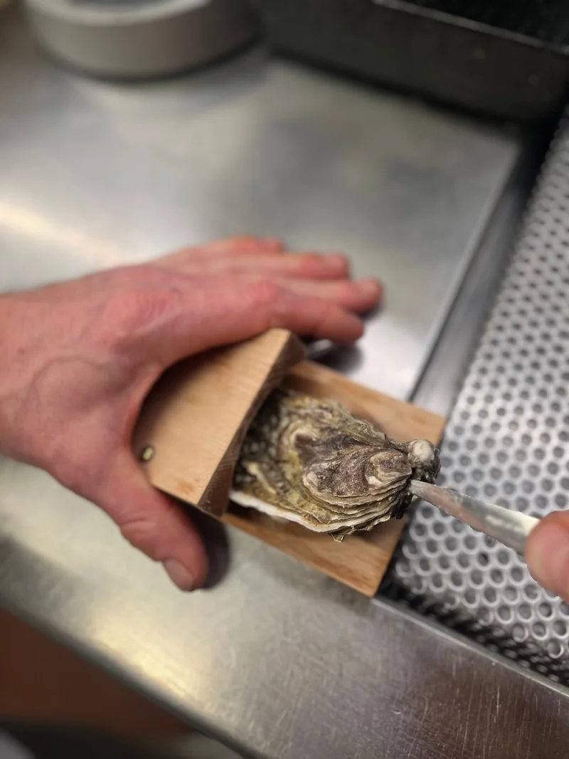 Does not hurt hands-Oyster shucking clamp-Festivesl