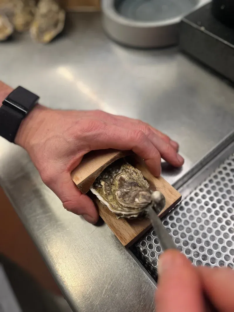Does not hurt hands-Oyster shucking clamp-Festivesl