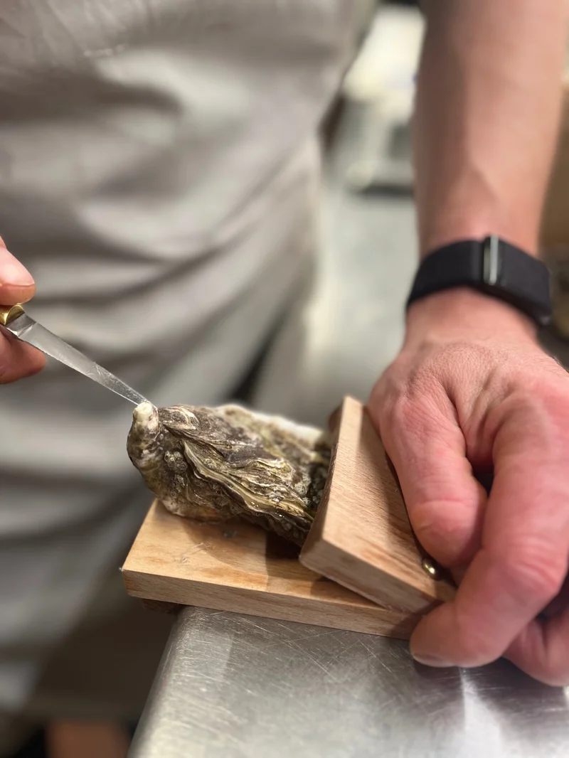 Does not hurt hands-Oyster shucking clamp-Festivesl