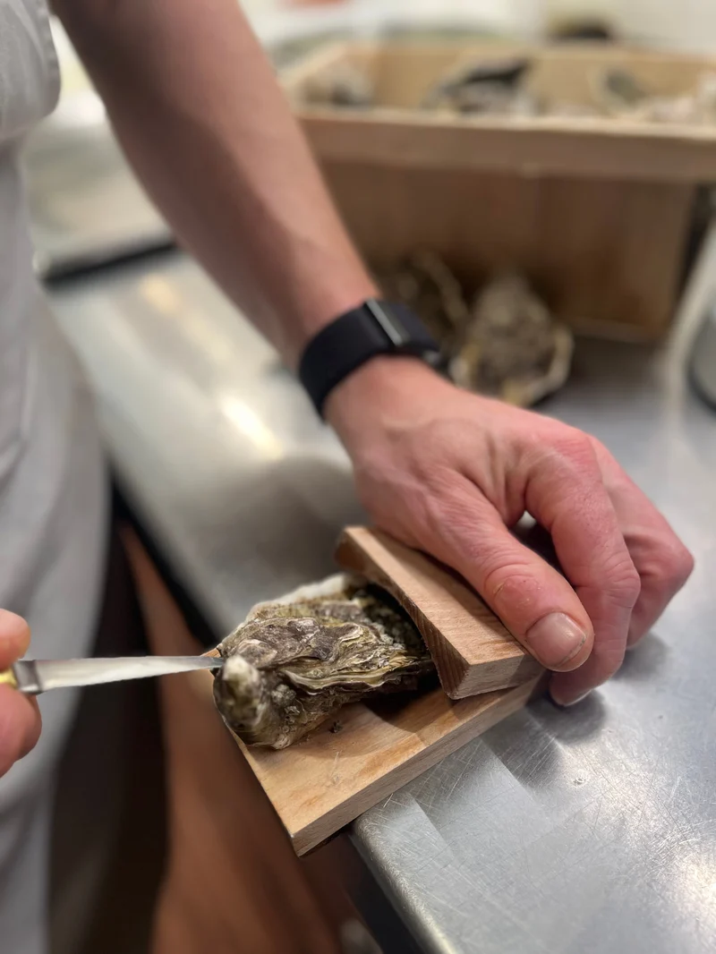 Does not hurt hands-Oyster shucking clamp-Festivesl