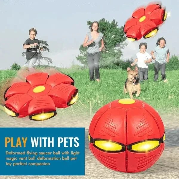 🔥2024 New Year Sale🐶The Doggy Disc Ball - Non-Stop Fun For Your Pets!💞-Festivesl