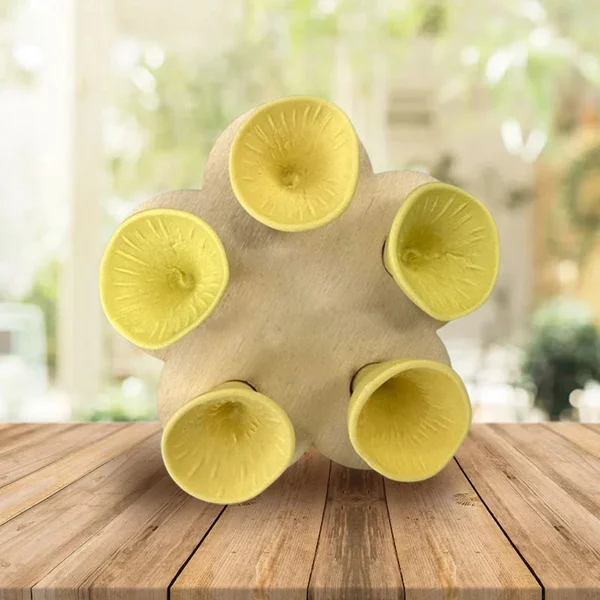 Bee Insect Drinking Cup-Festivesl