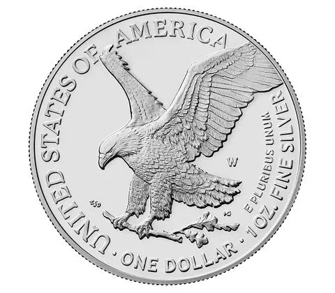 Just $2.99 Today American Eagle 2024 One Ounce Silver Proof Coin-Festivesl