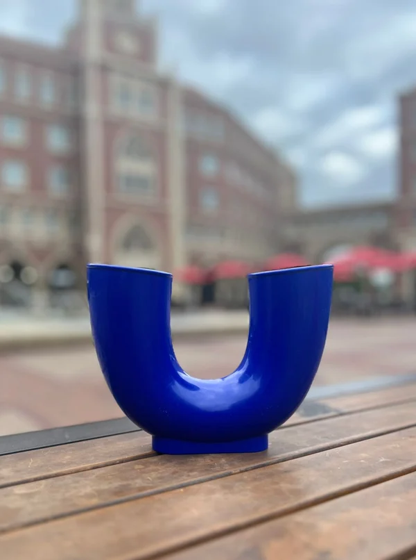 SpinScape Loop-Festivesl