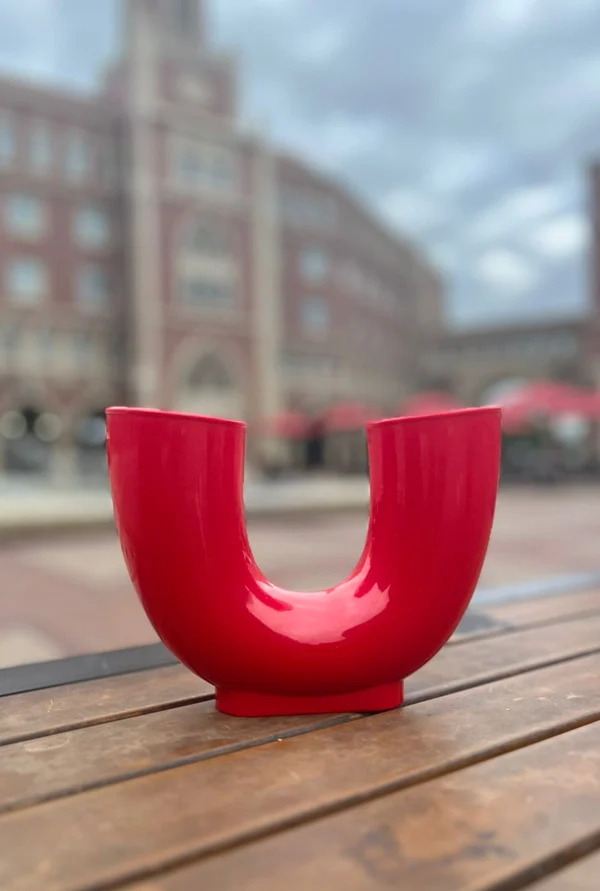 SpinScape Loop-Festivesl