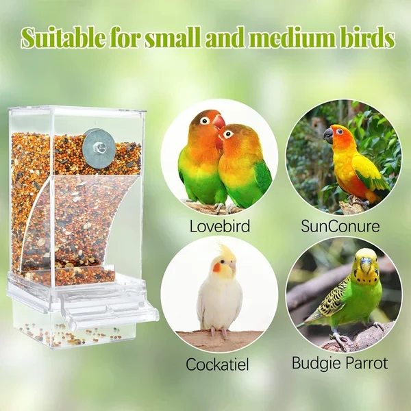 🐦🐦Mess Bird Cage Feeder Automatic Parrot Seed Feeders🐦-Festivesl